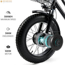 500W 48V 13A Electric Snow Tricycle 3 wheel e-bike 4.0 Fat Tire Tricycle