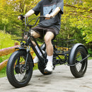 500W 48V 13A Electric Snow Tricycle 3 wheel e-bike 4.0 Fat Tire Tricycle