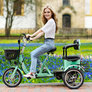 400W 48V 12A Elder Electric folding trike 3 wheel e-bike with Rear Seat Cyan