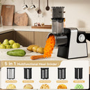 5 in 1 Electric Meat Grinder: 600W Meat Grinder with 3 Blades Sausage Stuffer Tube & Kubbe Kit  Vegetable Slicer & Shredder Cheese Grater