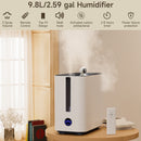 9.8L Large Capacity Humidifier 800ml/h Nano Four-Spray 50H Runtime 34dB Ultra-Quiet Top-Fill Smart Display with Timer & Auto Shut-Off