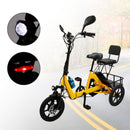 3 Wheel Electric Trike Motorized Folding Tricycle E-Bike 48V 350W