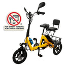 3 Wheel Electric Trike Motorized Folding Tricycle E-Bike 48V 350W