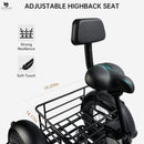 500W 48V 13A Electric Snow Tricycle 3 wheel e-bike 4.0 Fat Tire Tricycle