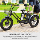 500W 48V 13A Electric Snow Tricycle 3 wheel e-bike 4.0 Fat Tire Tricycle