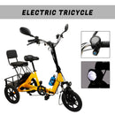48V 350W Three Wheel Electric Folding Trike for Adults 3 Wheel E-Tricycle