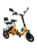 48V 350W Three Wheel Electric Folding Trike for Adults 3 Wheel E-Tricycle