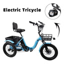 18*3.0 48V 13AH 350W (peak 525W) Electric Tricycle E-Trike with IPX7 Display