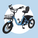 18*3.0 48V 13AH 350W (peak 525W) Electric Tricycle E-Trike with IPX7 Display