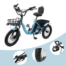 Electric Trike-Blue