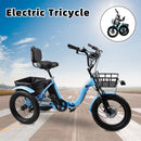 18*3.0 48V 13AH 350W (peak 525W) Electric Tricycle E-Trike with IPX7 Display