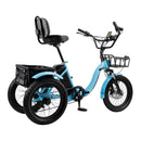 18*3.0 48V 13AH 350W (peak 525W) Electric Tricycle E-Trike with IPX7 Display
