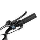 18*3.0 48V 13AH 350W (peak 525W) Electric Tricycle E-Trike with IPX7 Display