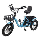 18*3.0 48V 13AH 350W (peak 525W) Electric Tricycle E-Trike with IPX7 Display