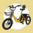 18" 7 Speed 48V 13AH 350W (peak 525W) Electric Tricycle with IPX7 Display