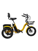 18" 7 Speed 48V 13AH 350W (peak 525W) Electric Tricycle with IPX7 Display