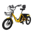 18" 7 Speed 48V 13AH 350W (peak 525W) Electric Tricycle with IPX7 Display
