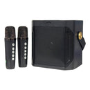 Wireless Bluetooth Speaker Dual Microphone Portable Karaoke Speaker Home Theater