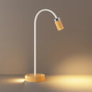 LED Table USB Reading Light Flexible Motion-Sensitive Wall Lamps 3CCT Dim