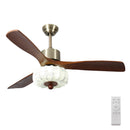 Ceiling fan with light & remote