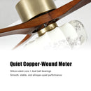 Ceiling fan with light & remote