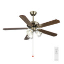 Vintage Ceiling Fan with Light