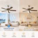 Vintage Ceiling Fan with Light