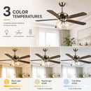 Vintage Ceiling Fan with Light