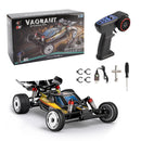 Wltoys 244016 2.4G 1:24 Scale 2WD High Speed Racing Off Road Remote Control Car