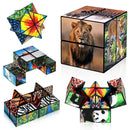 2 In 1 Animal Style Star Cube Magic Cube Set For Kid And Adult Toy Ages 8-12